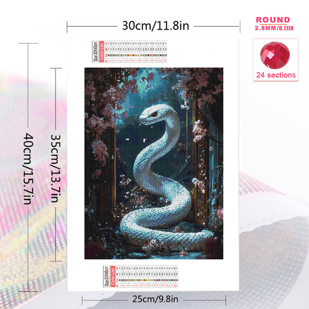 Evershine Diamond Painting Ful - Resin Art Canvas review and price