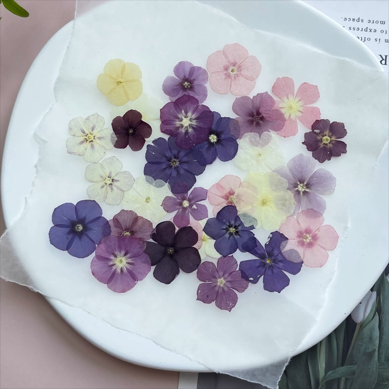 12pcs,Semi-Transparent Niche P - Resin Art Liquid review and price